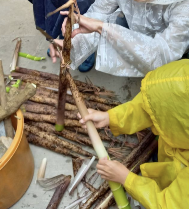 タケノコ皮むき