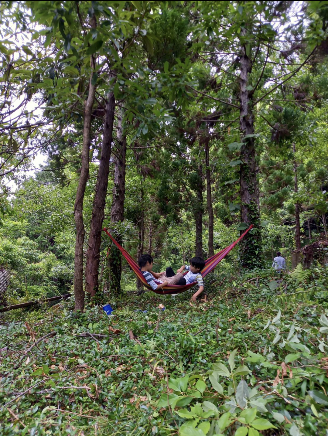 野性的自然遊び