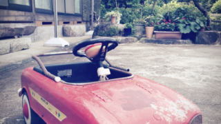 ＳＤＧｓの極み